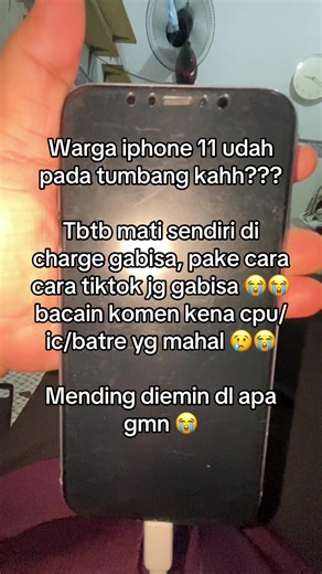 Masalah Umum iPhone 11: Solusi dan Tips