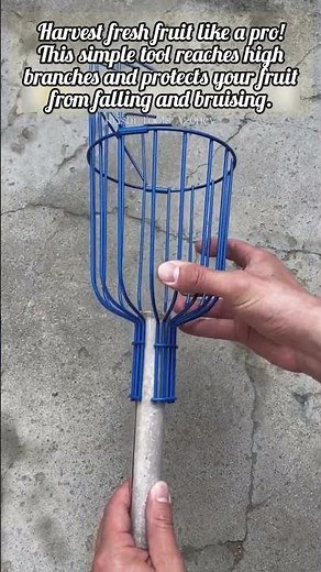 The Best Way to Pick Fruit Without Damage