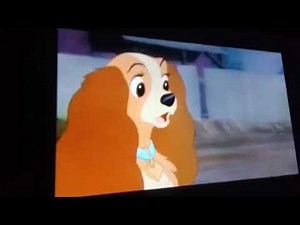 lady and the tramp ever chase chicken