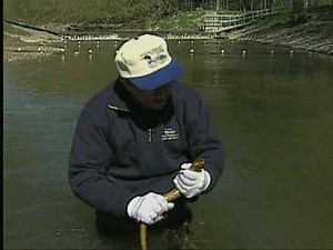 Invading Species Awareness PSA - Sea Lamprey