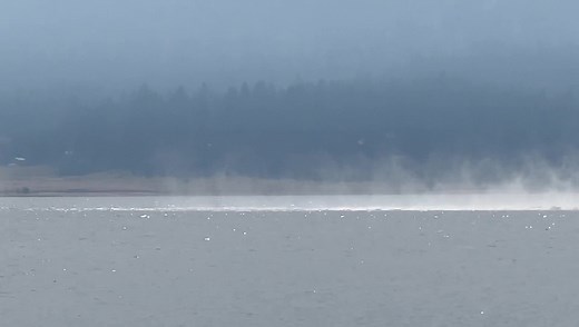 21K views · 91 reactions | Water scooping planes utilize Lake Cascade to assist fire suppression efforts. | U.S. Forest Service - Payette National Forest | Facebook