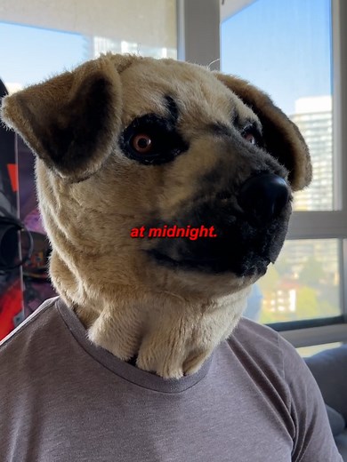 Decode Your Dog's Bark with This Translator App