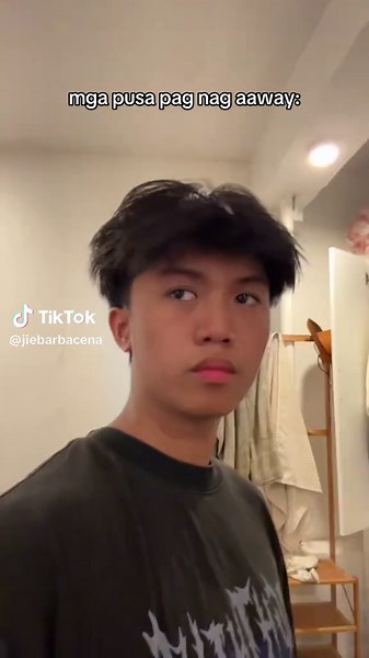 Funny Cat Fights: Hilarious Moments of Cats Competing