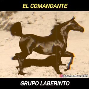 141K views · 3.7K reactions | El Comandante - Grupo Laberinto  | Rancheras Y Corridos | Facebook