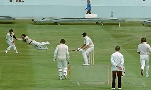 The Evolution of Cricket