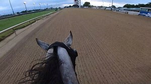 227K views · 1.2K shares | Incredible! Take a ride on Derby contender Enforceable. | Kentucky Derby | Facebook