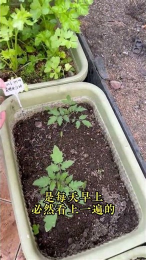 Early Spring Surprise! Mid-March Blossoms