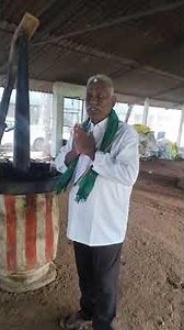 Bull driven Oil Extraction, Coconut Ground nuts, Sesame etc, Indigenous Cow,Bull based natural Field