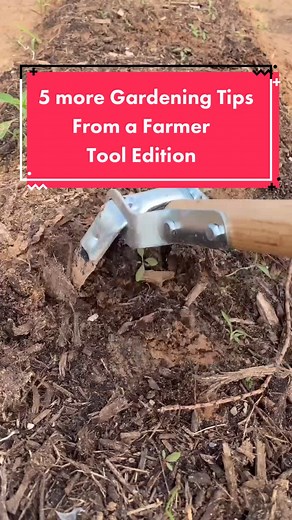 Farmer.Froberg on TikTok