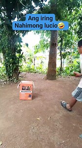 Nitago sa karton #cat #goodvibeslang | Joseph Mabala