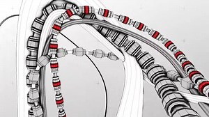 62 reactions · 3 comments | Skizologic vs Filteria - Fabric of Space. Soon to be released HOMmega (Official) Records. Check out the video :) | Filteria | Facebook