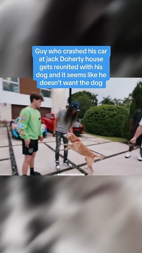 Exciting Dog Reunion with Jack Doherty's New Friend
