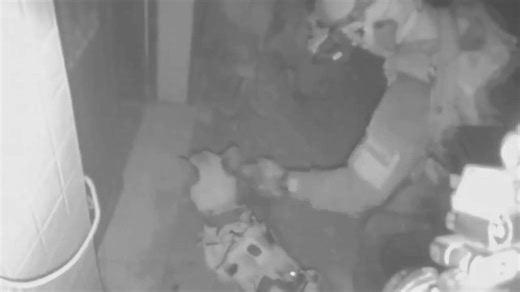 Incredible footage shows Israeli war dogs hunt Hamas terrorists through rubble
