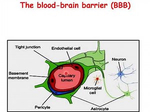 Introduction to CNS Pharmacology