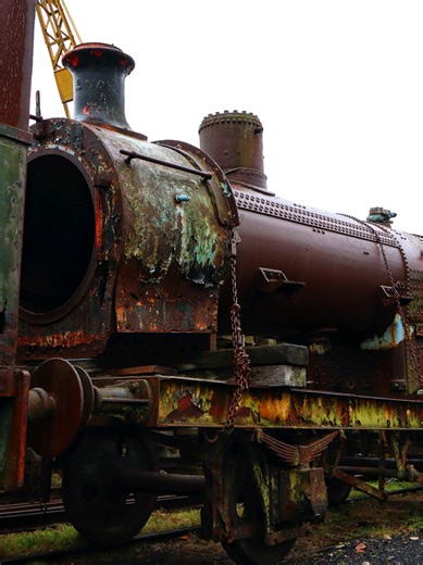 Derelict trains awaiting restoration for a train museum (Revisit from a while back) #train #derelict #urbex #urbanexploring #abandoned