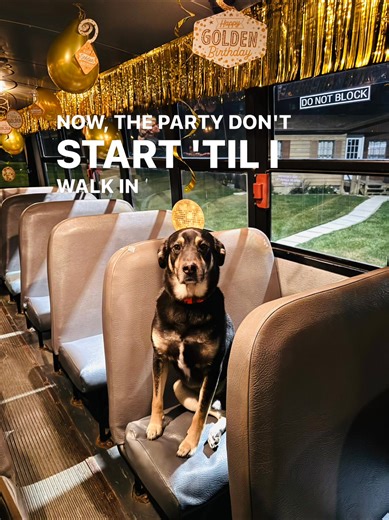 2.2K views · 74 reactions | We’re not stopping the Free Gift Friday party! ✨ Use code FGF110824 to claim! https://nostalgica.com/collections/all?sort_by=created-descending | Candie Cooper | Facebook