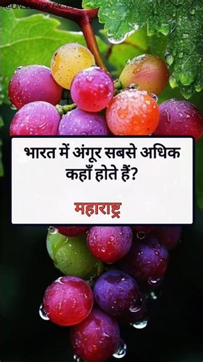 99% लोग नहीं जानते इन फसलों के सबसे बड़े उत्पादक राज्य 😱| Agriculture GK Questions🔥#shorts #facts