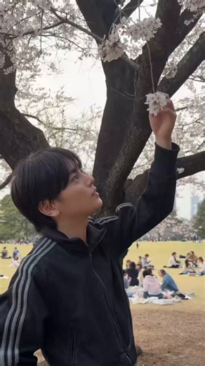 Post by みなと《MINATO》 on X: 🌸🇯🇵