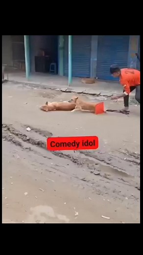 #justforfun | Raymond Wong