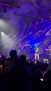Davido brought out Peruzzi & Dremo to the stage at his Lagos concert last night 🇳🇬🔥 | Entertainment Daily