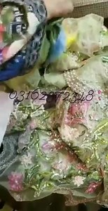 1.1K views · 15 reactions | Crimson Hit Code  Book your Favourite codes now !  COD : Karachi Advanve Payment other cities (Delivery time 3 To 4 Days) ✨ Luxury Eid Whatsapp for order: 03162372348 | Zeeman's | Facebook