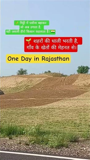 One Day in Rajasthan Reality of Farmers’ Life 🌾 #farmer #rajasthan #shorts