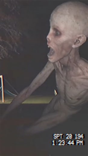 The last video filmed on a first-person camera