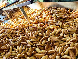 62K views · 263 reactions | Overwhelming mass production! Amazing confectionery production process - Korean food factory | My Pub | Facebook