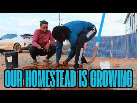 Our Homestead Is Growing | Homestead in AZ