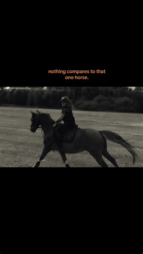 Das beste Pferd in meinem Leben: Dankbarkeit ausdrücken