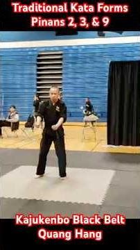 KAJUKENBO Karate Traditional Kata Forms Pinan 2,3,9. Martial Arts Self-Defense #martialarts #kungfu