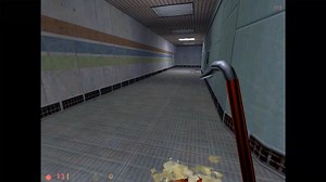 I forgot that Half Life software rendering looks so good and you really can enjoy the game without texture mapping, Z-buffering, alpha-blending etc.