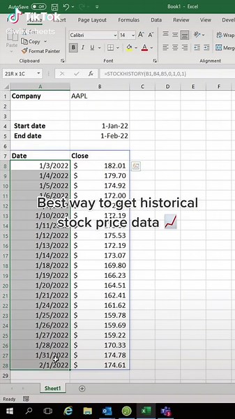 How to get historical stock price data on Excel #stockdata #excel #stockinvesting #stocktok
