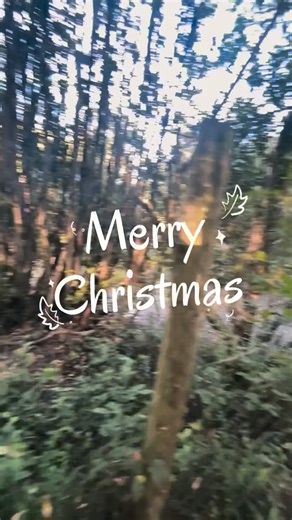 Parque Trensur | 🎄🚂 ¡Este 25 de diciembre abrimos nuestras puertas! 🚂🎄 Parque Tren Sur te espera desde las 10:00 AM, sin reservas, ingreso por orden de... | Instagram