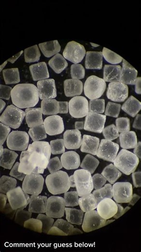 A close-up look at an everyday object under a dissecting microscope. Guess before the reveal!