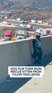 5.3M views · 98K reactions | An abandoned kitten has found his new home after a Temecula mother, with a car full of kids, pulled over on the Cajon Pass to rescue him from the freeway median. Full story: https://ktla.com/news/local-news/watch-temecula-mom-rescues-kitten-from-cajon-pass-ledge/ | KTLA 5 News | Facebook