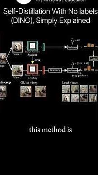 Self-Distillation With No Labels (DINO), simply explained