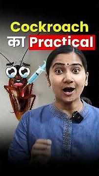 Kit Jagat ka Sainik: Ek Cockroach ki Sharirik Banaavat । कॉकरोच की संरचना का प्रैक्टिकल