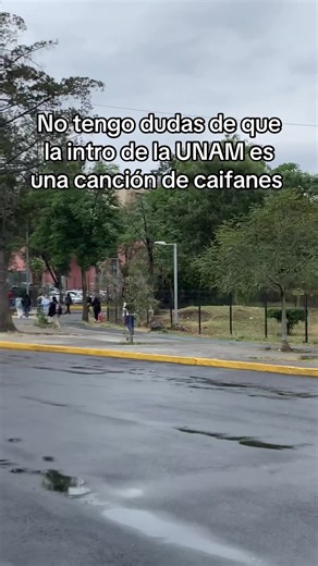 Exploring the UNAM Experience: A Day in Student Life