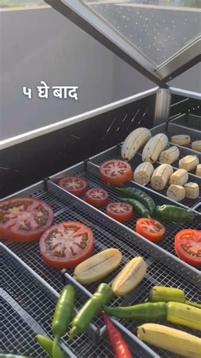 ✅✅Dhoop Se Chalti Machine 😱 Solar Dryer #agribusiness #viral #youtubeshorts