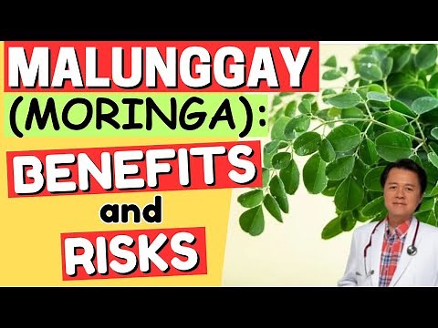 Malunggay (Moringa): Benefits and Risks. - By Doc Willie Ong