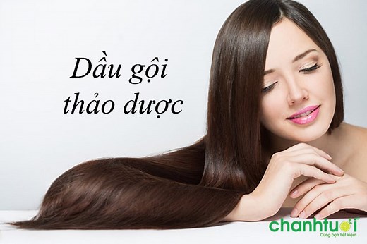 Bất ngờ với Top 4 dầu gội thảo dược giúp tóc mọc dày chỉ sau 2 tuần!