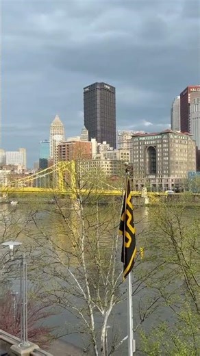 PNC Park #mlb #shorts