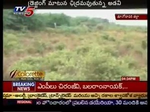 TV5 Special Focus on Mada Forests