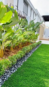 17 reactions · 6 comments |  ｜Tropical风格案例分享 简单式的Tropical植物搭配...