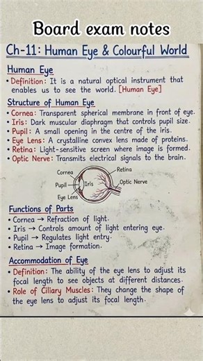 👉 Human Eye 👁️ Complete Chapter | 5 Pages Handwritten Notes | Class 10