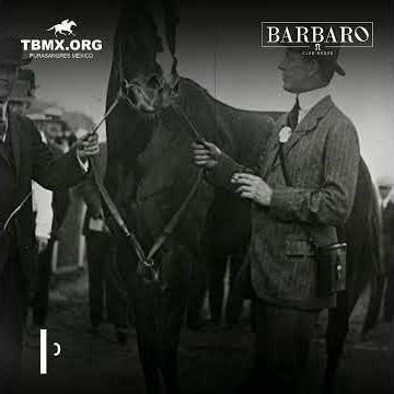 HISTORIA DEL DERBY DE KENTUCKY #caballos #horsetrack #horse #horseracing