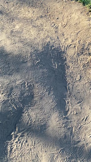 Wisata Bromo Tengger Semeru: Tips & Rekomendasi untuk Kunjungan Kembali