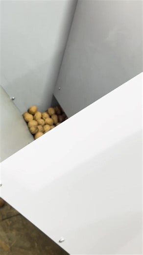 Automated Industrial Walnut Processing Line (200 kg/h) A modern automated solution designed for efficient and high-quality walnut processing. The line is capable of processing up to 200 kg of walnuts per hour, significantly optimizing and accelerating the production process. Advanced automation and precise handling ensure a high yield of whole kernels, reducing breakage and maximizing product value. #walnut #fyp #NutIndustry #walnutprocessing