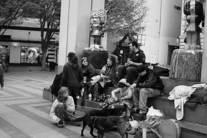 Suicide Prevention among Homeless Youth - USC CAIS